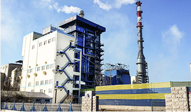 �ӱ�����150t/hѭ����������¯