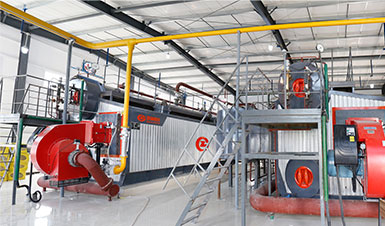 ��������20t/hSZSȼ��ȼ����¯